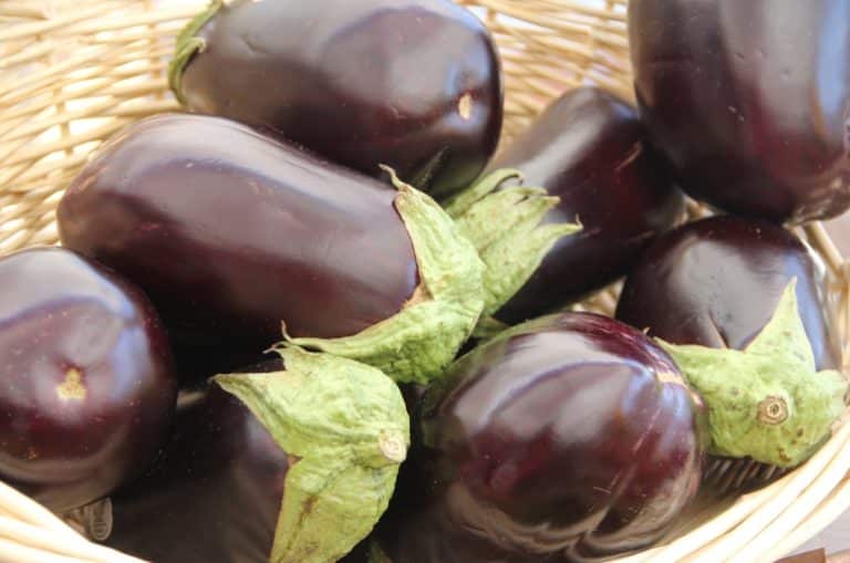 Les bienfaits des aubergines bouillies pour votre santé